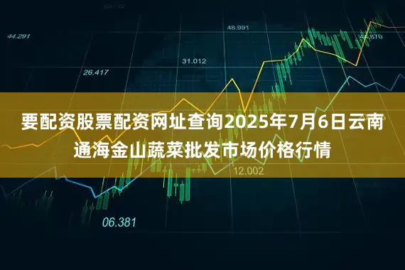 要配资股票配资网址查询2025年7月6日云南通海金山蔬菜批发市场价格行情