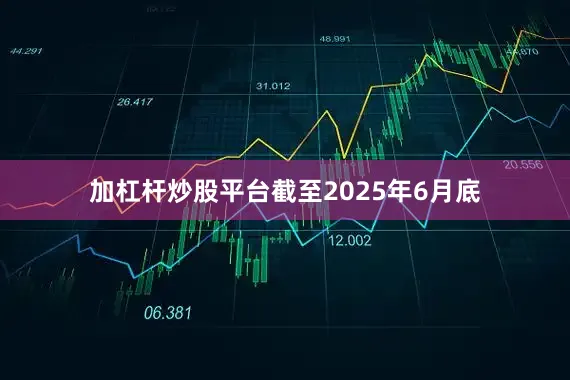 加杠杆炒股平台截至2025年6月底